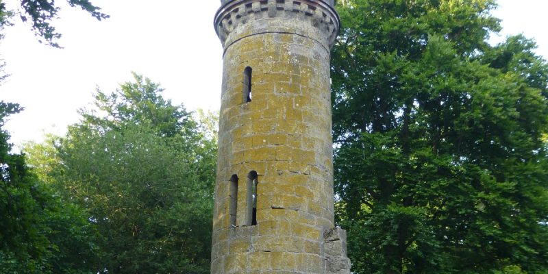 Elfbuchenturm