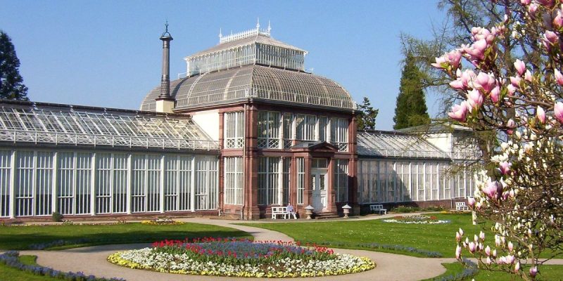 Großes Gewächshaus
