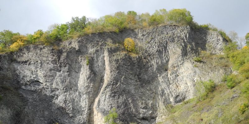 Hirzstein