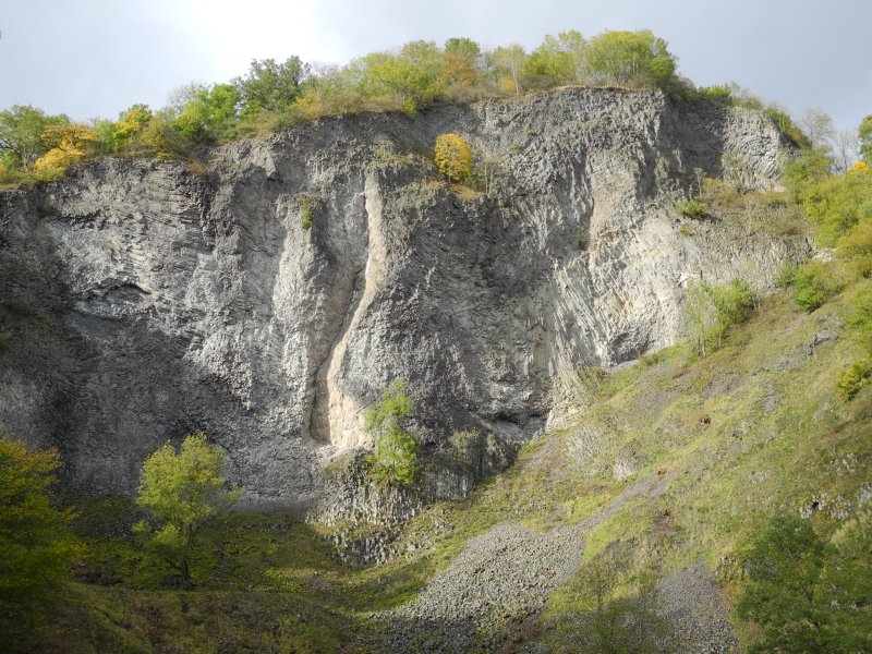 Hirzstein