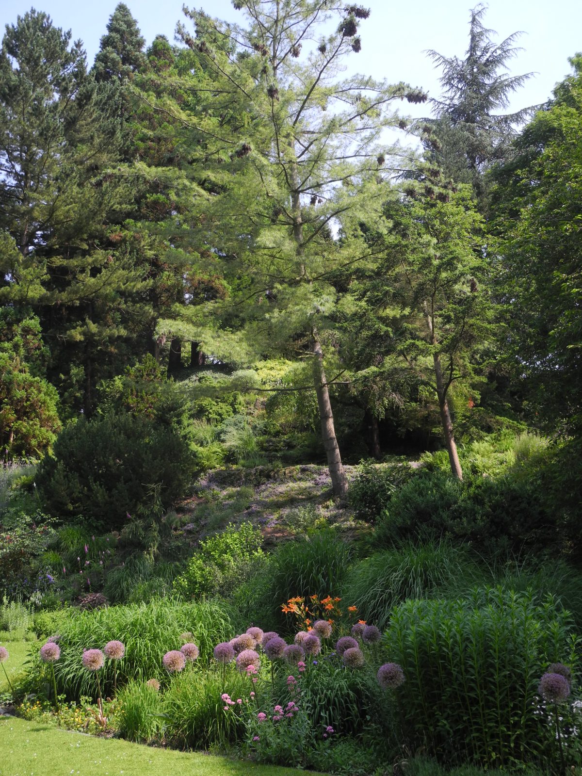 Insel Siebenbergen