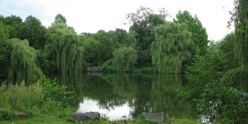 Park Schönfeld