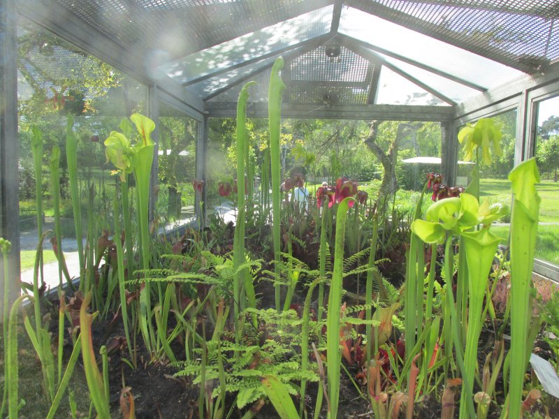 Staudengarten