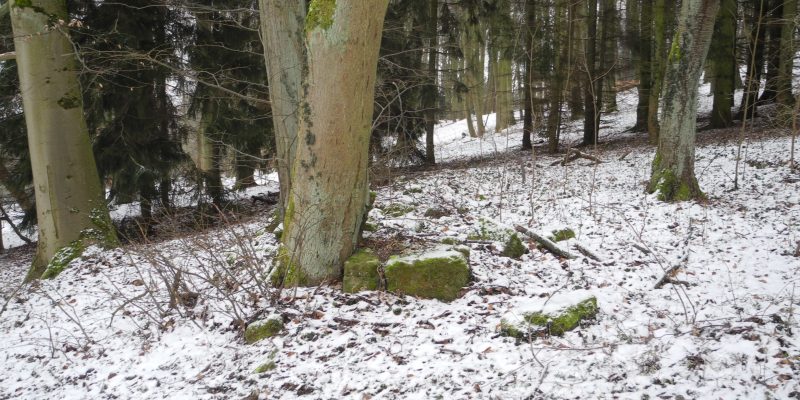 Wildbretscheuer