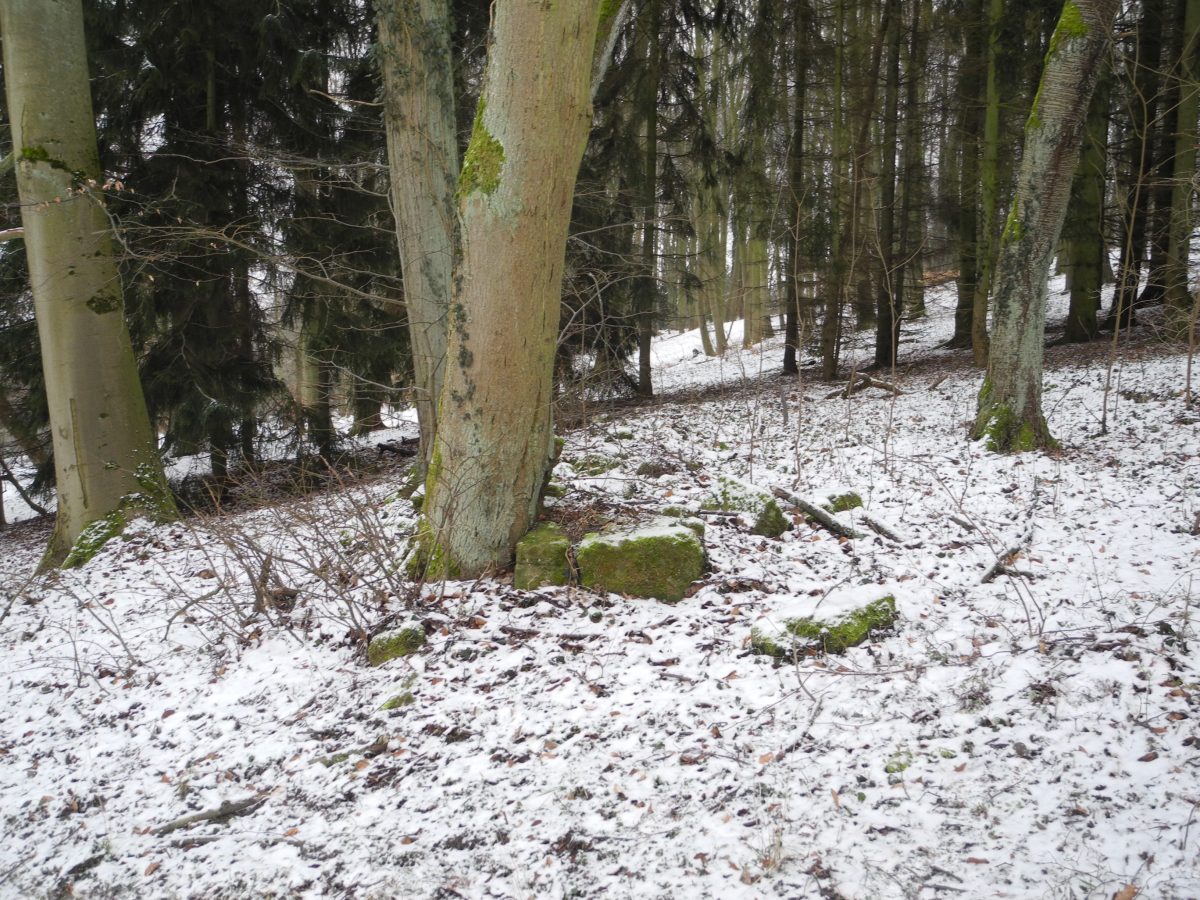 Wildbretscheuer