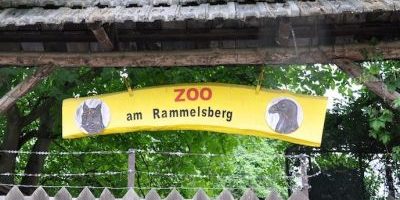Zoo am Rammelsberg