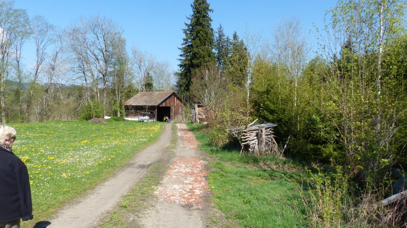 Hölzlers Tobel
