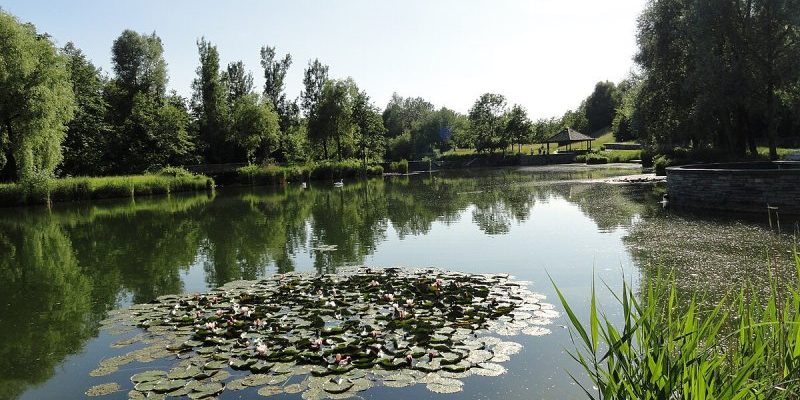 Landschaftspark Engelhalde