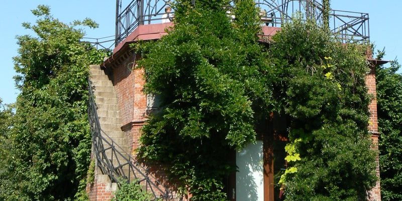 Alter Botanischer Garten