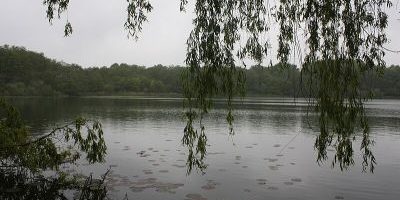 Drachensee