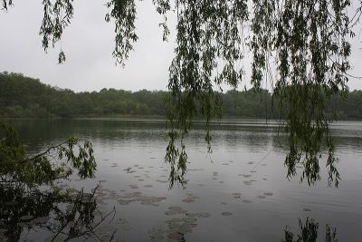 Drachensee