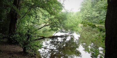 Erlenkampsee