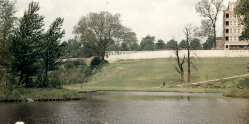 Moorteichwiese