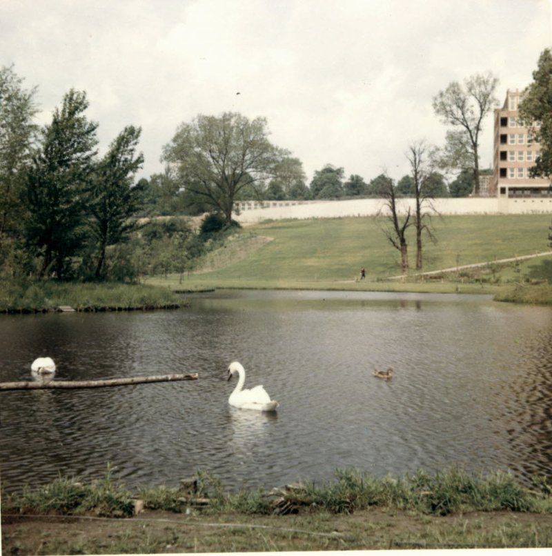 Moorteichwiese
