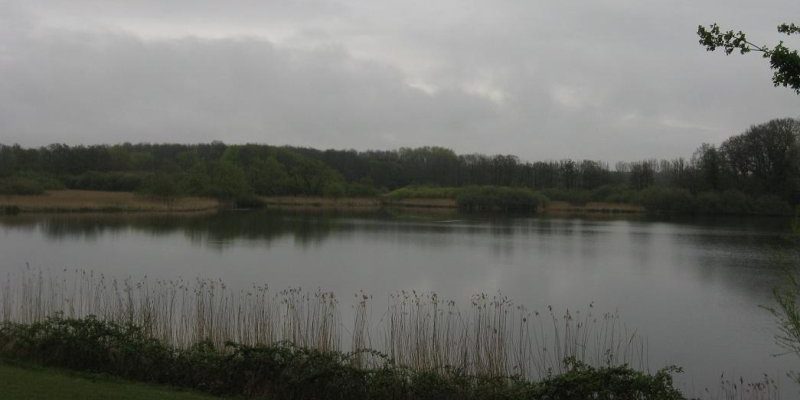 Naturschutzgebiet Schulensee und Umgebung