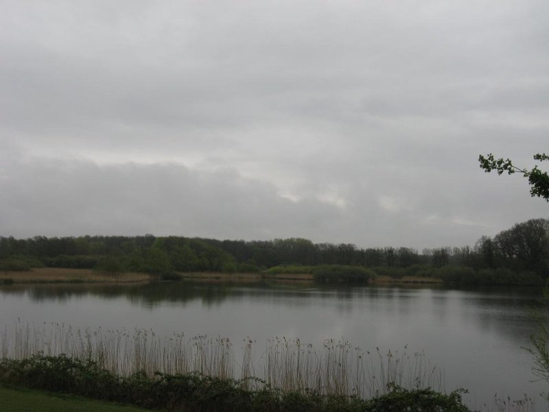 Naturschutzgebiet Schulensee und Umgebung