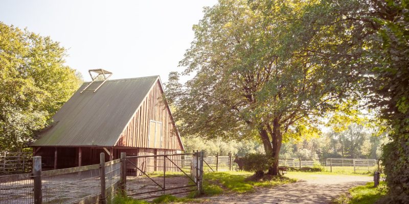 Tiergehege Hasseldieksdamm