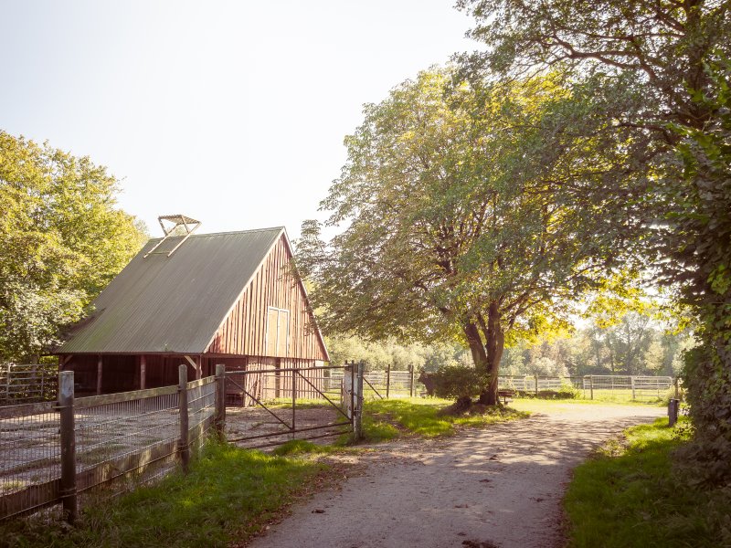Tiergehege Hasseldieksdamm