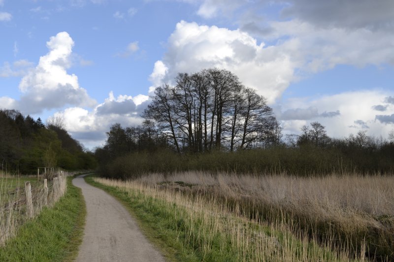 Wellsee und Wellsau-Niederung
