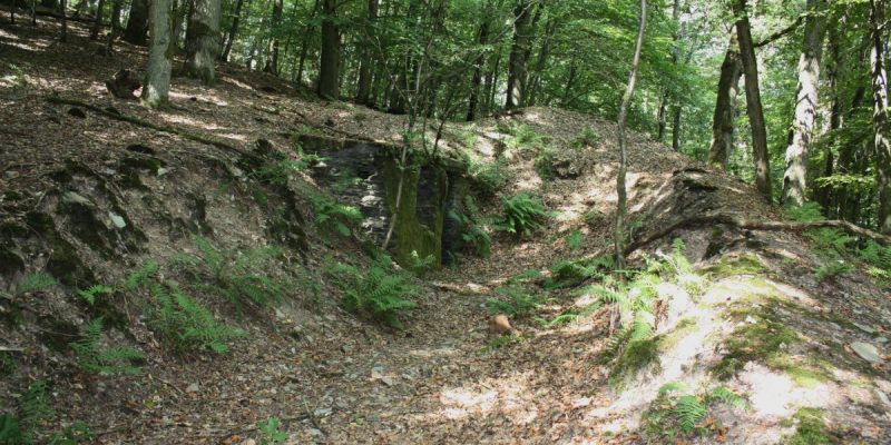 Historische 'Wache Schießstände' (Ruine)