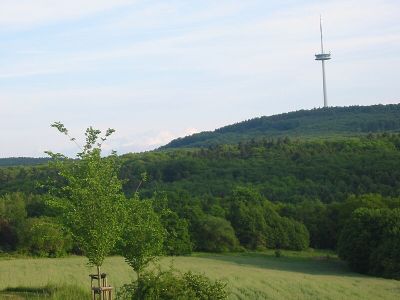 Kühkopf