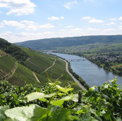 Mosel