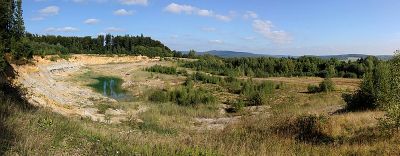 Naturschutzgebiet Tongrube auf Escherfeld