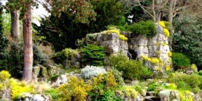 Alpinum