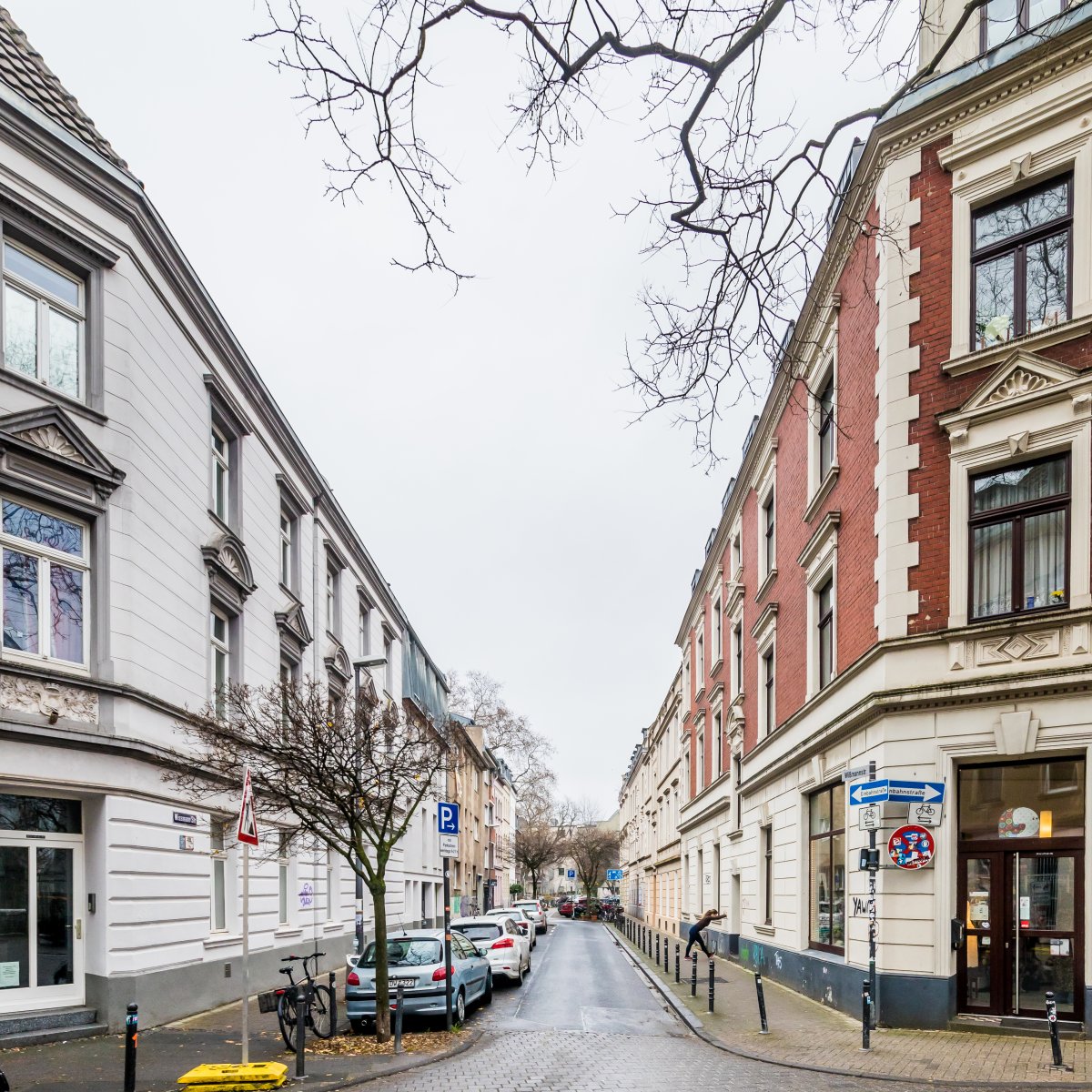 Atelier Stammhirn