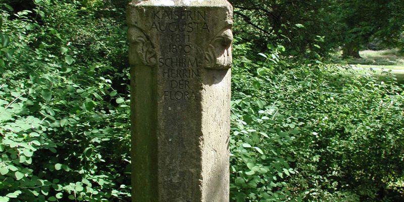 Augusta