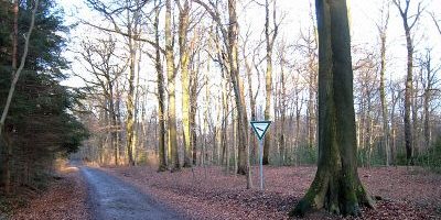 Diepeschrather Wald
