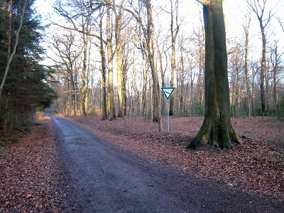 Diepeschrather Wald
