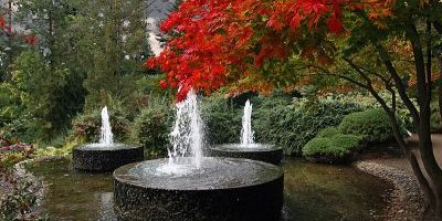Forstbotanischer Garten