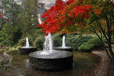 Forstbotanischer Garten