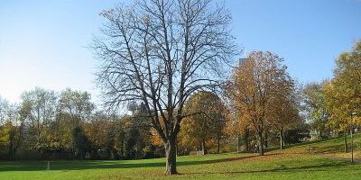 Klingelpützpark