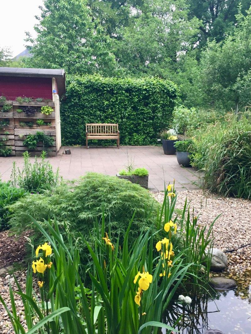 Obstgarten