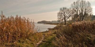 Rheinaue Worringen-Langel