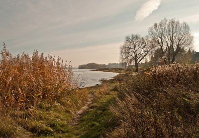 Rheinaue Worringen-Langel