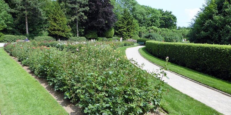 Rosengarten