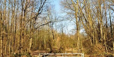 Schießplatz Dünnwald