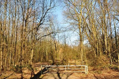 Schießplatz Dünnwald