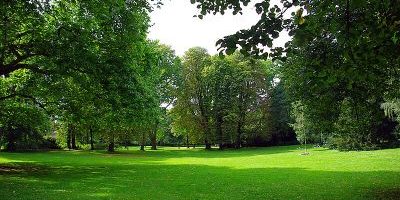 Südpark