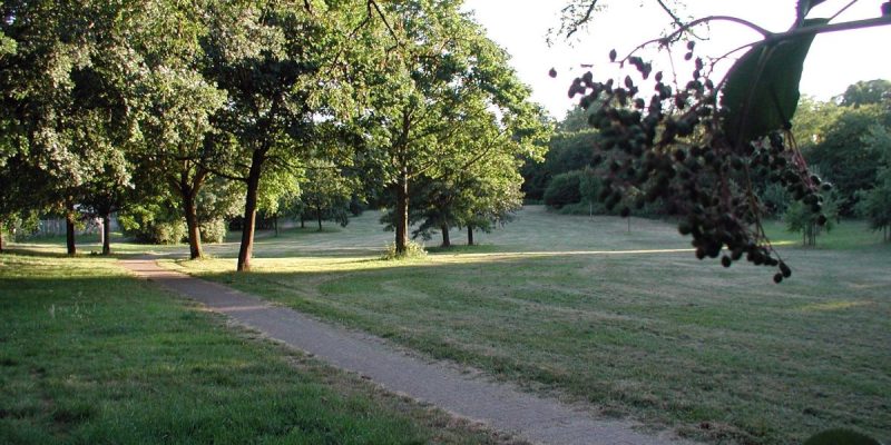 Vorgebirgspark