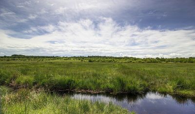 Wahner Heide (Ost 2)