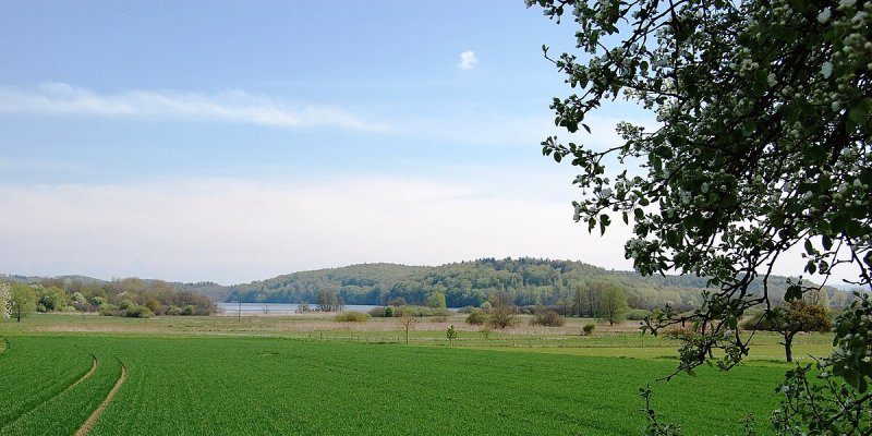 Bodanrück
