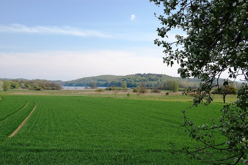 Bodanrück