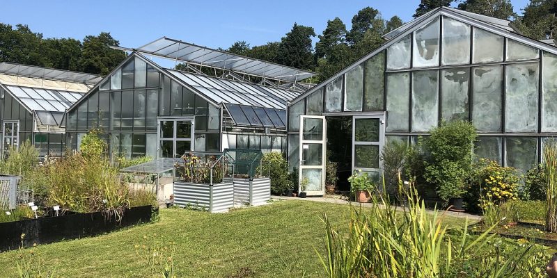 Botanischer Garten der Universität Konstanz