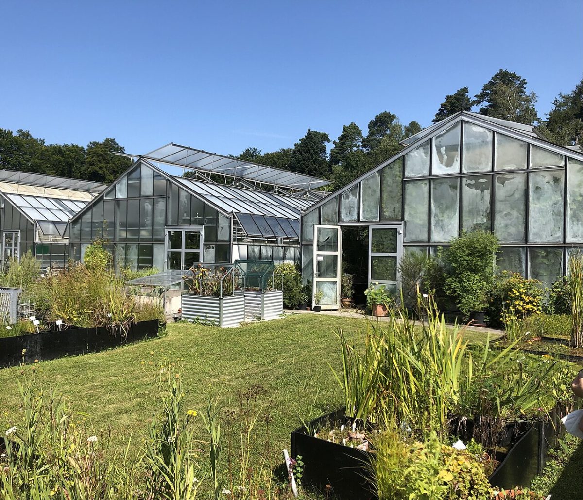 Botanischer Garten der Universität Konstanz