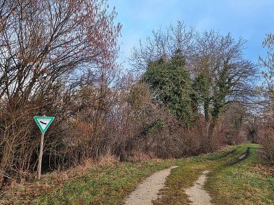 Hagstaffelweiher
