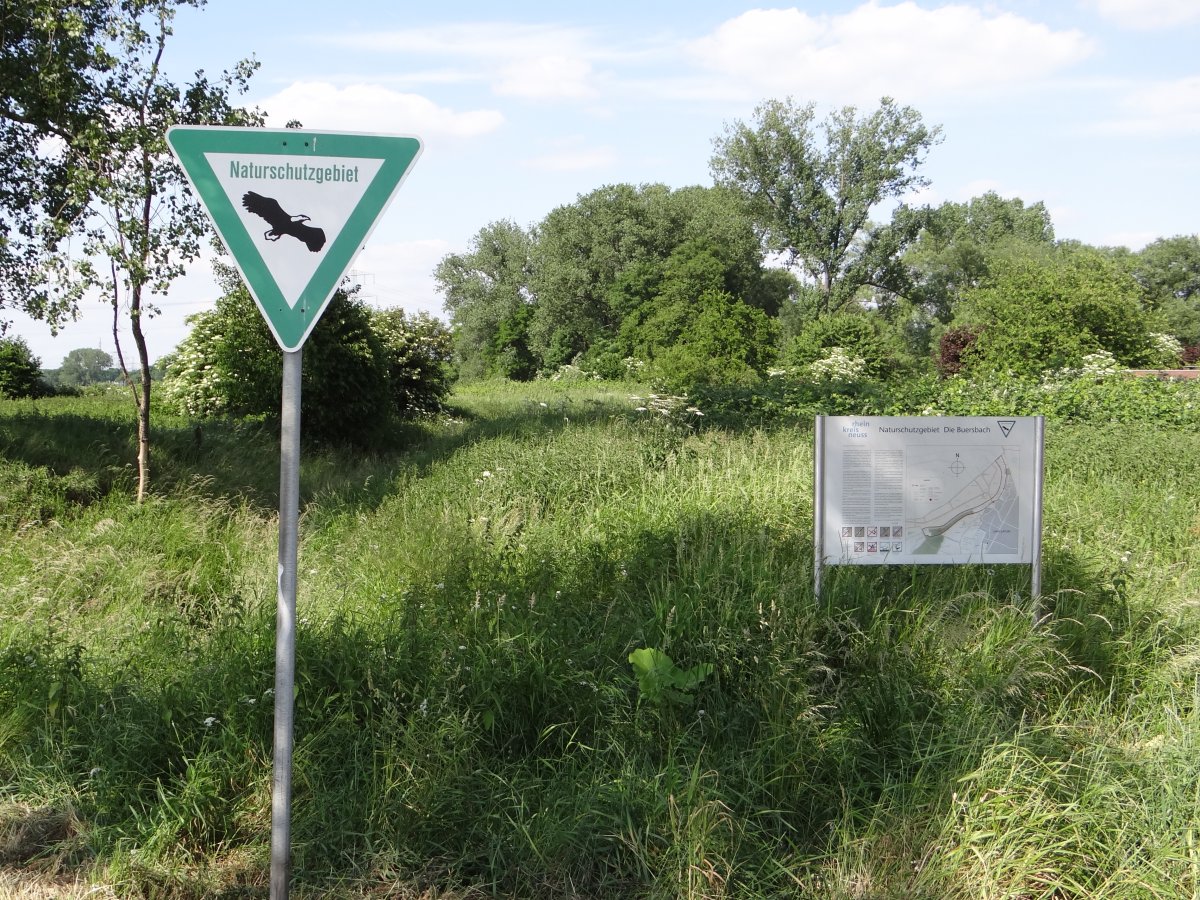Die Buersbach